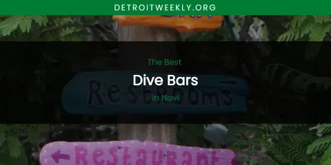 Novi's Best Dive Bars