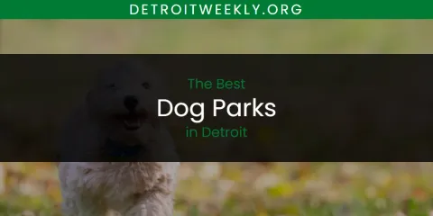 Ranked: Best Dog Parks in Detroit