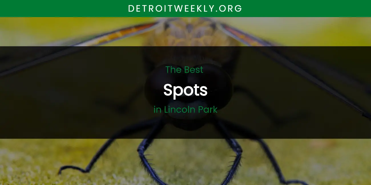 Lincoln Park's Best Spots featured