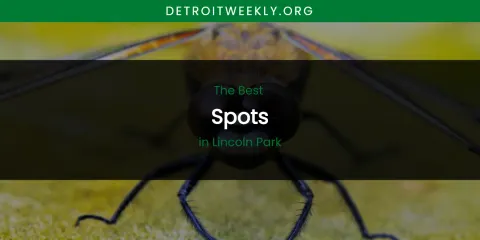 Lincoln Park's Best Spots